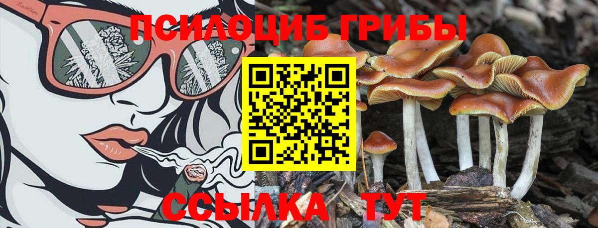 Саяногорск  Псилоцибиновые грибы Magic Shrooms  Вход с VPN 