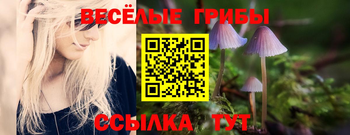 Галлюциногенные грибы ЛСД Саяногорск